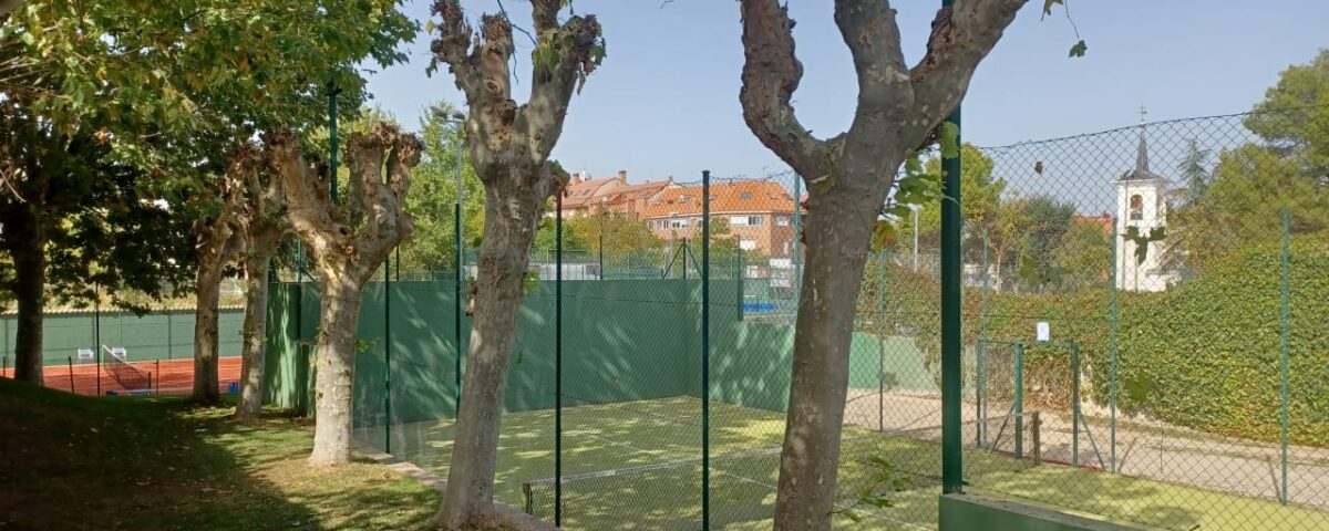 Padel 3 Muro